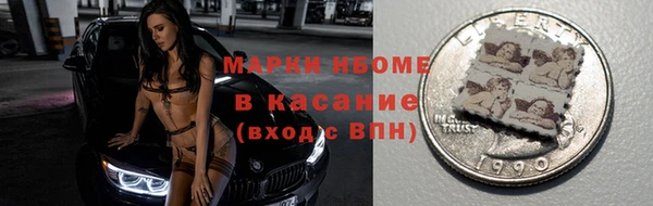 крисы Абаза