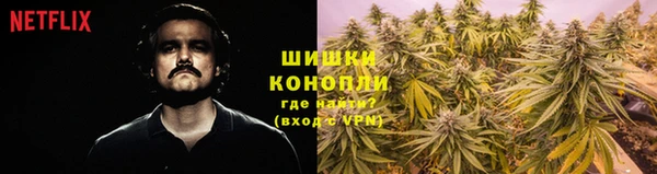 ПСИЛОЦИБИНОВЫЕ ГРИБЫ Алексеевка