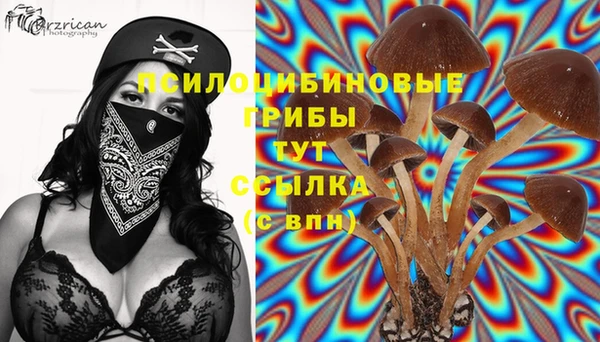 меф Алзамай