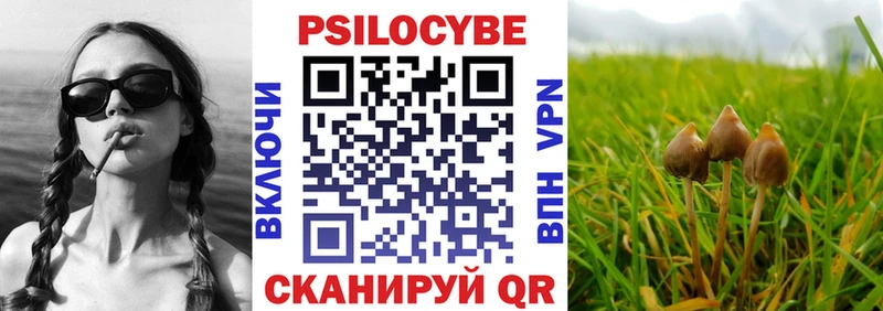 Псилоцибиновые грибы Cubensis  купить  сайты  MEGA онион  Николаевск-на-Амуре 